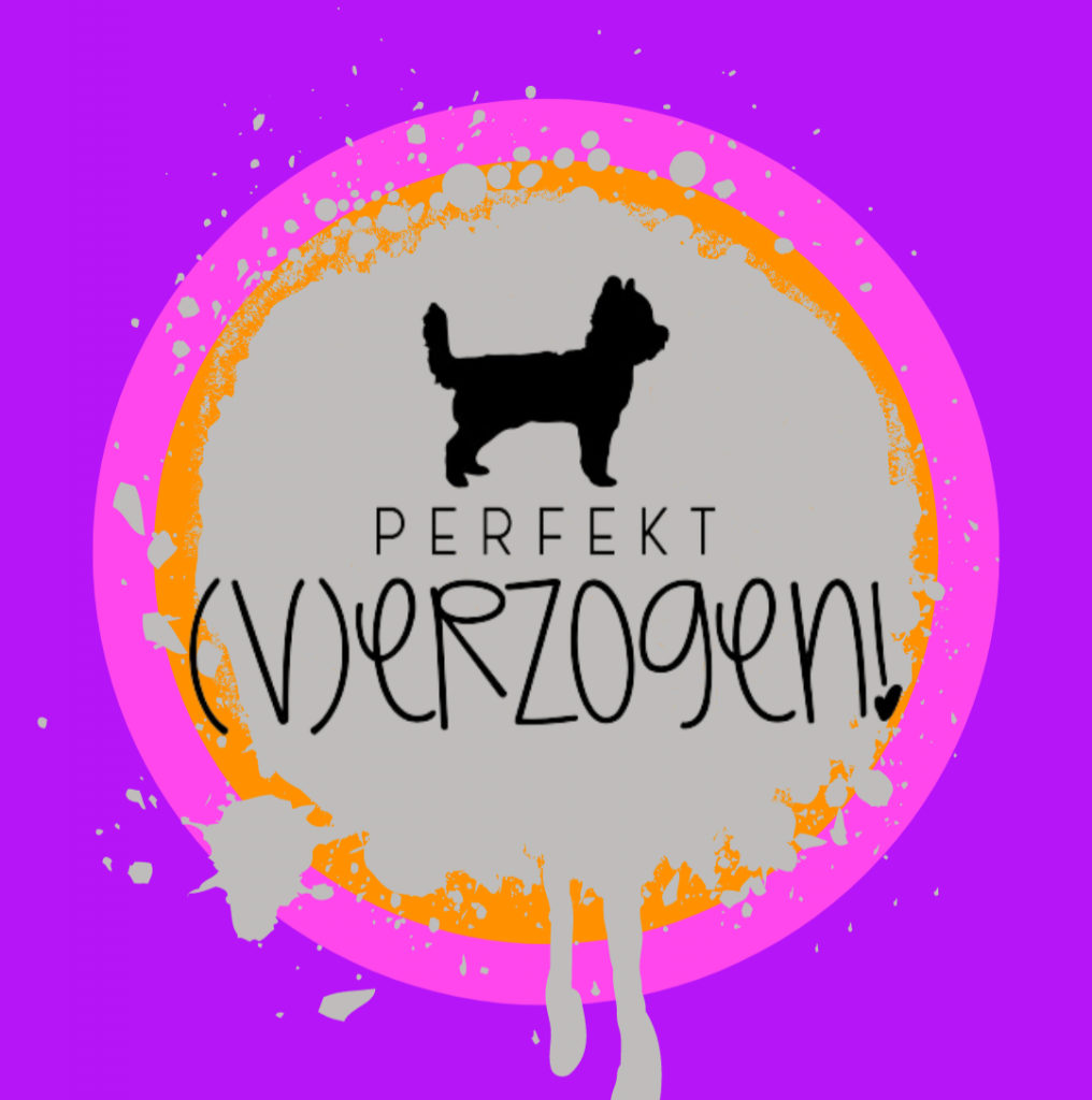 perfekt verzogen hundezubehör