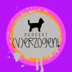 perfekt verzogen hundezubehör