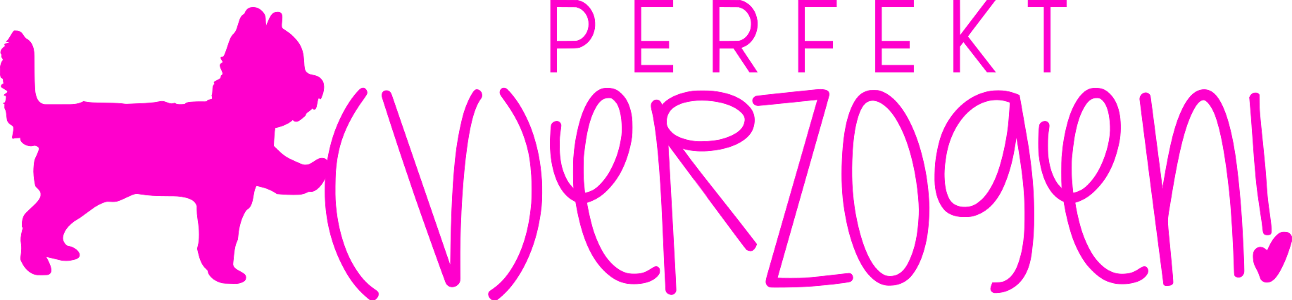 perfekt verzogen hundezubehör