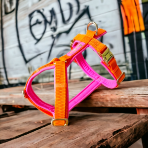 Geschirr "Neonpink / Neonorange", gepolstert und verstellbar