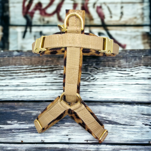 Geschirr Leo/Beige, gepolstert und verstellbar