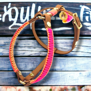 Biothane Geschirr mit Paracord Akzent, einfach verstellbar