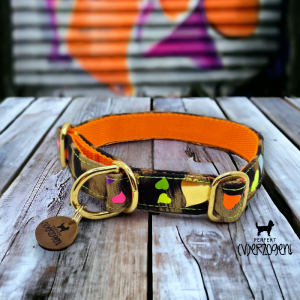 halsband leo neon herzen