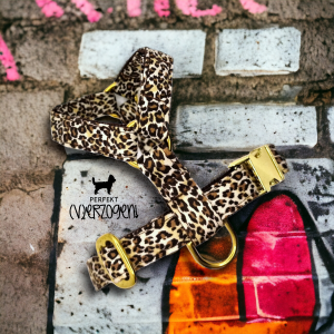 Geschirr Mini Leo, einfach verstellbar