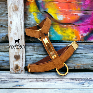 Geschirr Wildlederoptik Cognac, einfach verstellbar