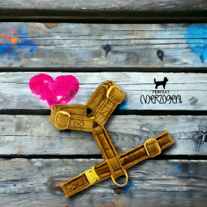 Geschirr Samt/Gold, zweifach verstellbar, mit passender Tauleine (gedreht)