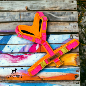Geschirr "Neonpink / Neonorange", gepolstert und verstellbar