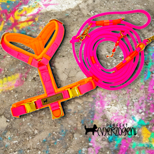Geschirr "Neonpink / Neonorange", gepolstert und verstellbar