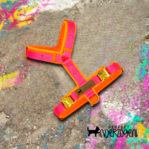 Geschirr "Neonpink / Neonorange", gepolstert und verstellbar