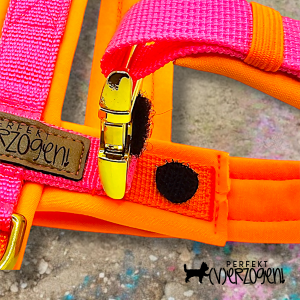 Geschirr "Neonpink / Neonorange", gepolstert und verstellbar