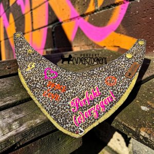 Hunde Bandana Leo klein
