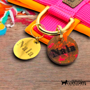 Edelstahl Hundemarke gelasert, Hundemarke Leder gelasert