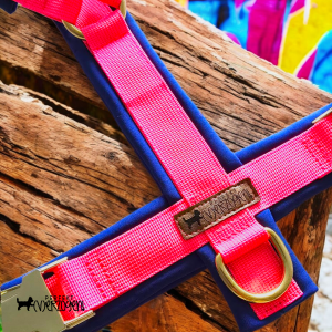 Geschirr Neon Pink / Royalblau, gepolstert und verstellbar