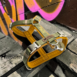 Geschirr - gepolstert und verstellbar, Khaki / Curry, mit passender Leine und Kotbeutelspender