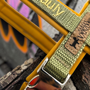 Geschirr - gepolstert und verstellbar, Khaki / Curry, mit passender Leine und Kotbeutelspender