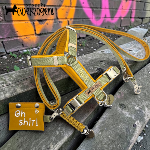 Gurtleine - gepolstert und verstellbar, Khaki / Curry, mit passendem Geschirr und Kotbeutelspender