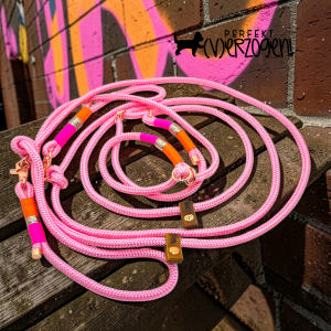 Retreiverleine Seil mit Takelung, verstellbar.