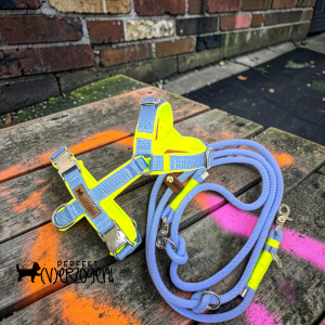 Tauleine, Hellblau / Neongelb, mit passendem Geschirr