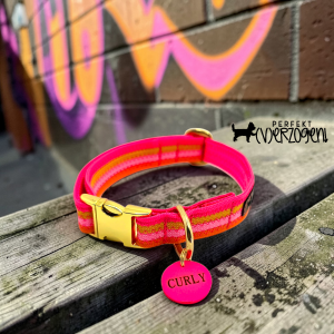 Halsband Stripes, Paracord auf Gurtband, verstellbar mit Klickverschluss