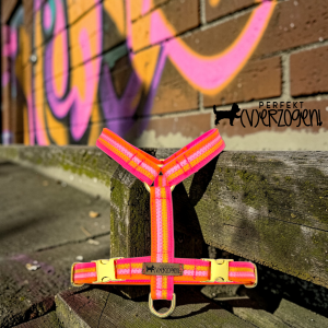 Geschirr Stripes - Paracord auf Gurtband, nicht gepolstert