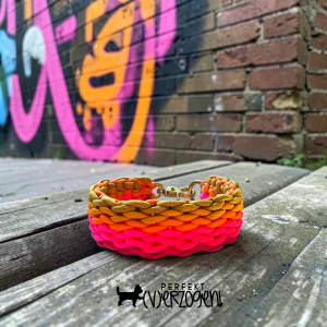 Paracord Halsband, feste Größe mit Karabinerverschluss