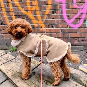 Wollmantel mit Superflausch Futter und zusätzlichem Thermo-Vlies dazwischen