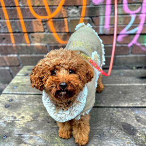 Wollmantel mit Superflausch Futter und zusätzlichem Thermo-Vlies dazwischen