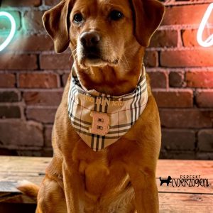 Hunde Bandana British Style Tartan Muster Classic