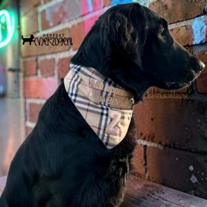 Hunde Bandana British Style Tartan Muster Classic