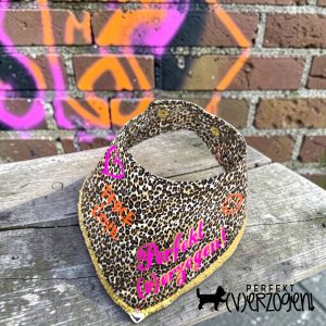 Hunde Bandana Leo klein