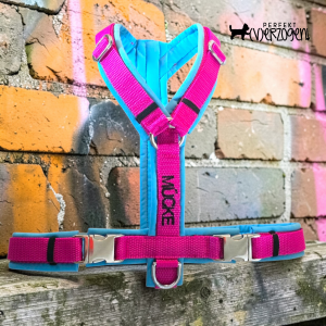 Geschirr Neon Pink / Aquamarin, gepolstert und verstellbar