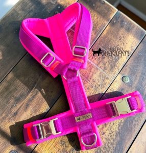 Hunde-Y-Geschirr, gepolstert und verstellbar, Magenta/neon Pink