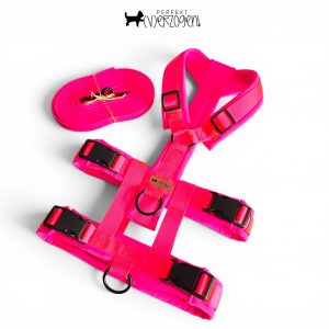 Hunde-Y-Geschirr, mit abnehmbarer Sicherheitserweiterung, gepolstert und verstellbar, neon Pink/neon Pink