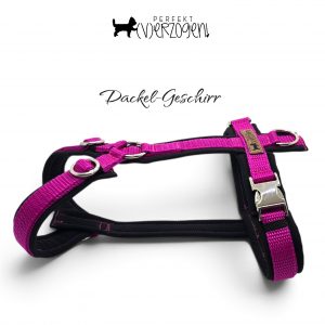 Dackel Y-Geschirr Magenta/Schwarz, gepolstert und verstellbar