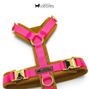 Y-Hundegeschirr Neon Pink / Curry, gepolstert und verstellbar