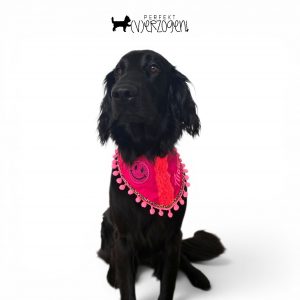 Hundehalstuch / Bandana BoHo Pink