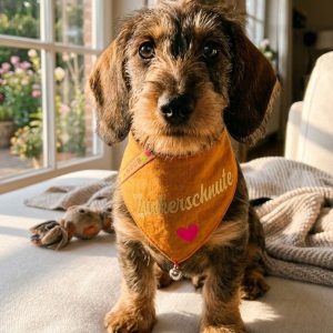 Hundehalstuch / Bandana Zuckerschnute Sonnengelb