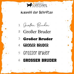 Auswahl Schriften für Hundehalstuch personalisiert